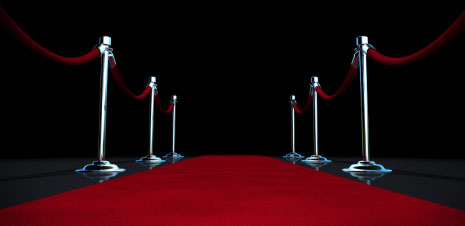 Professional Plumbers