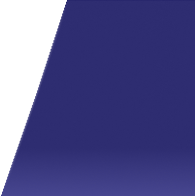 Professional Plumbers