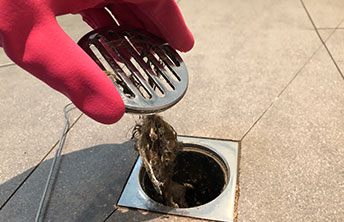 Professional Plumbers