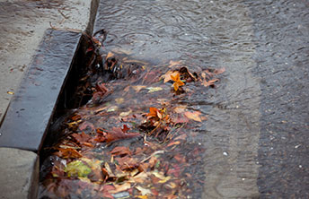 Professional Plumbers