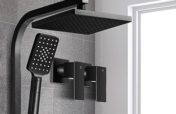 Professional Plumbers